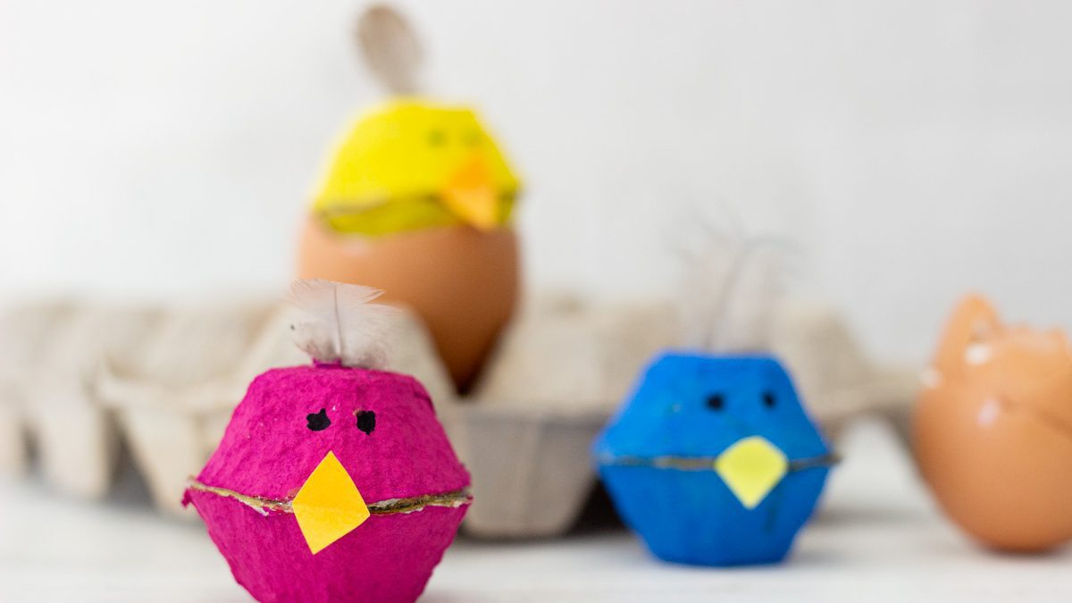 egg-carton-chicks