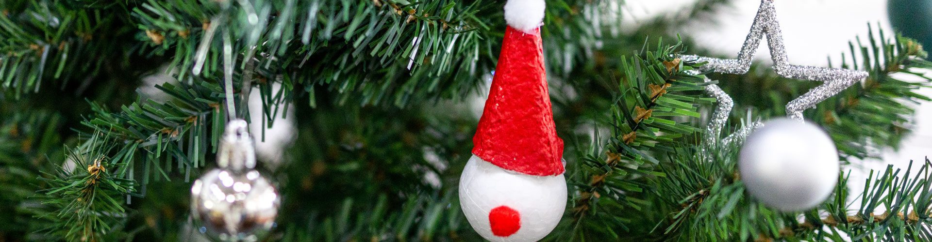 Toplay-Santa-hat-Website-Banner-1920-500px