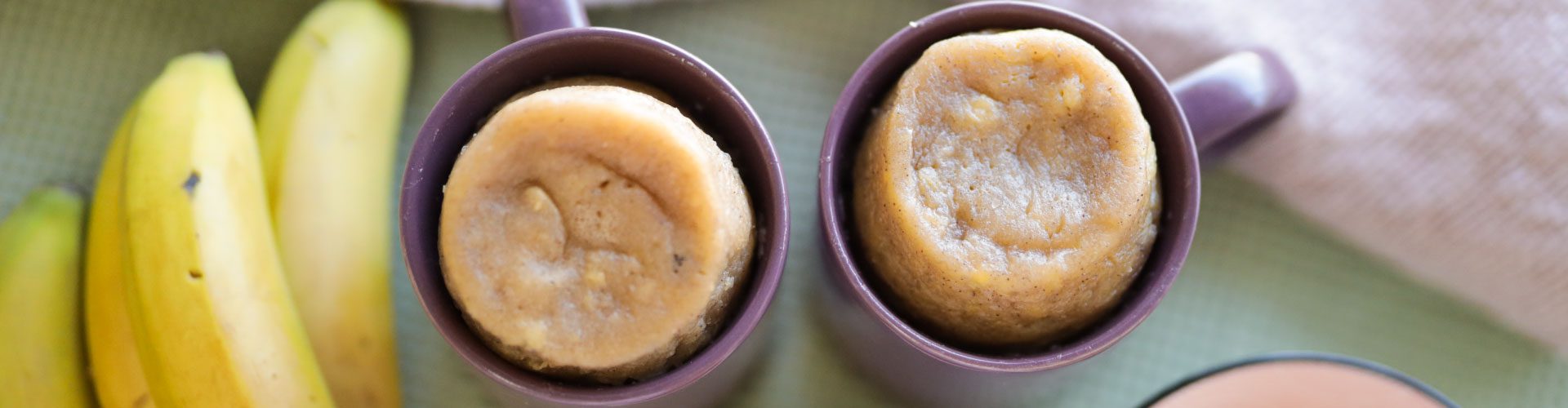 Toplay-mug-cake-healthy-Website-Banner-1920-500px