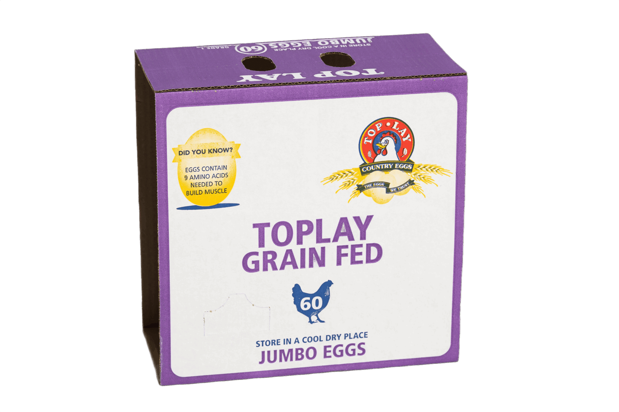60 Jumbo TopLay 3-Tray Glued (25)