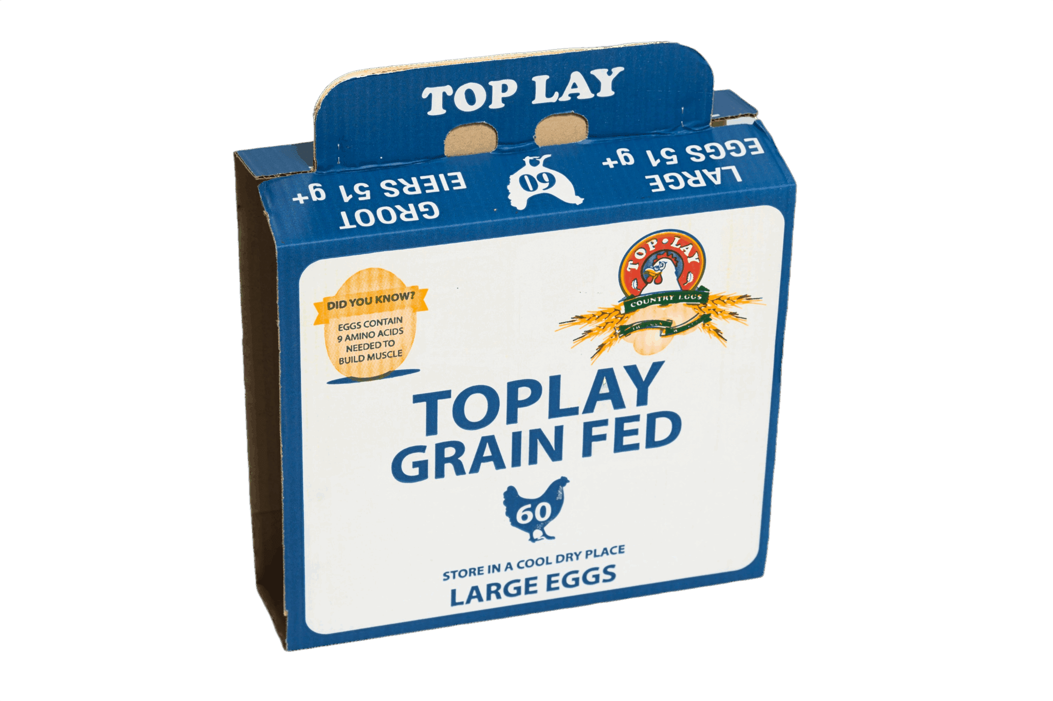 60 Large TopLay 3-Tray Glued (25)