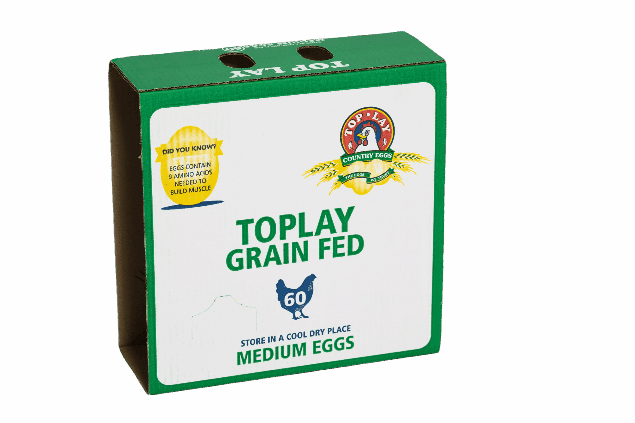 60 Medium TopLay 2-Tray Glued (25) CP