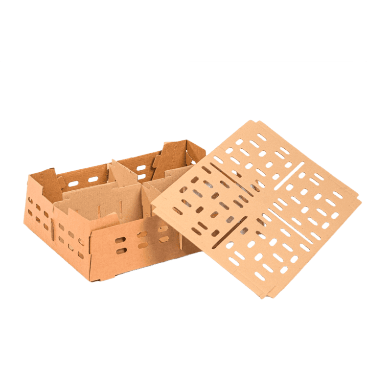 Chicken Box - Base
