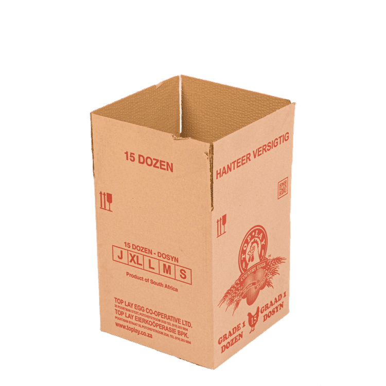 15 Doz TopLay Econo (Red)