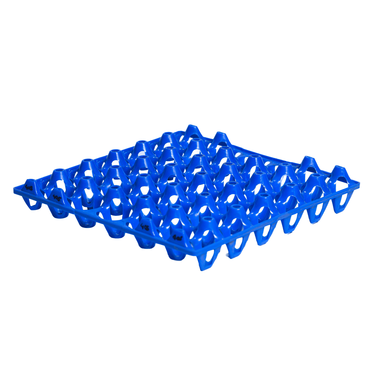 30 Plastic EGG Tray