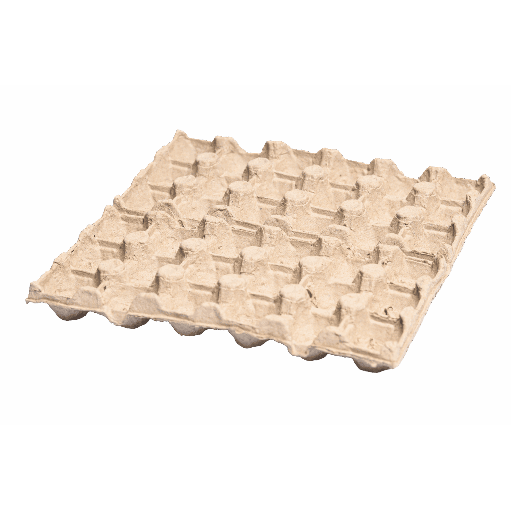 18 Tray (HUH)