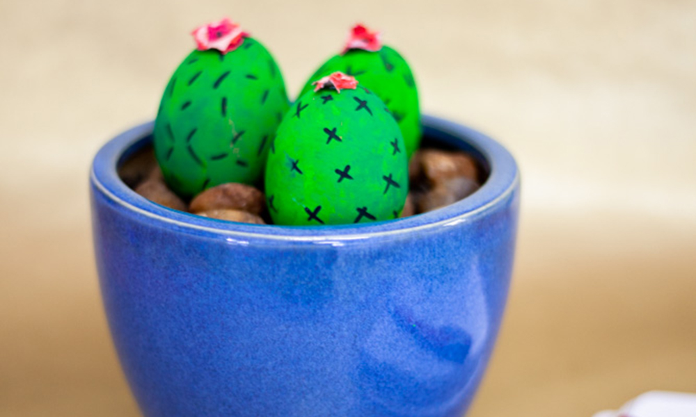 An egg-citing cactus plant craft with eggshells.