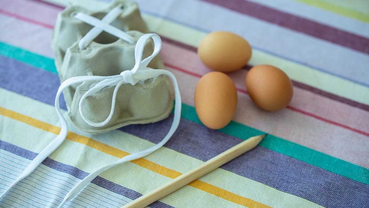 TopLay |Egg Carton Craft | Shoelaces