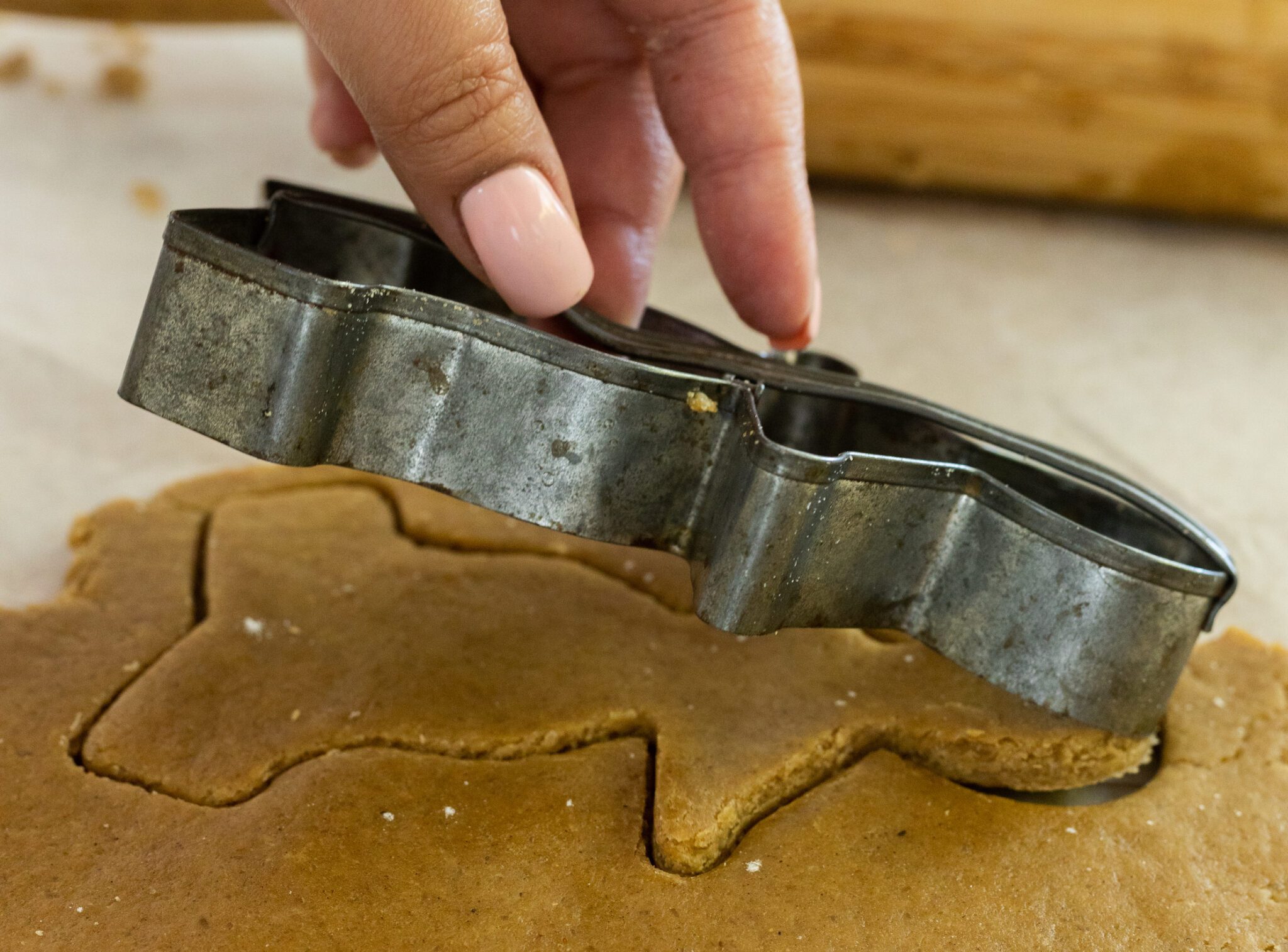 Gingerbread Biscuits | TopLay