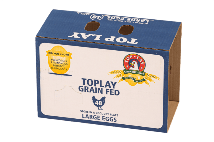 48 Large TopLay Glued (25)
